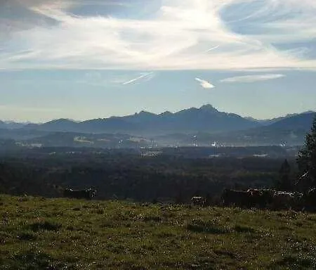 Schmidtler S Nest Warngau